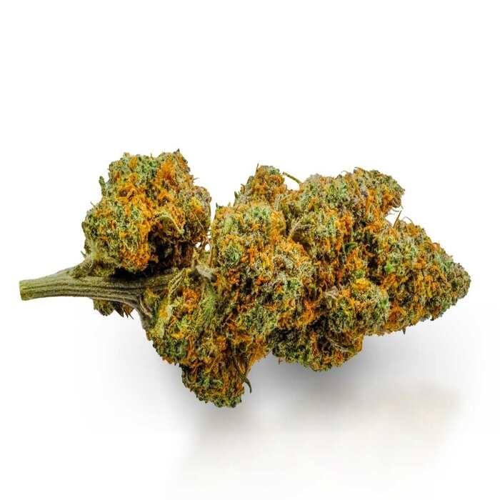 Close-up of TheGreenThingz Gorilla Mandarine CBD bud.